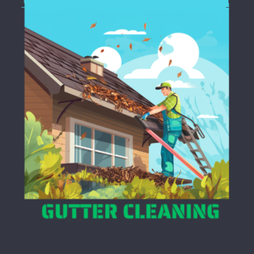 Gutter Cleaning